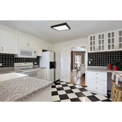 LED Stropna svjetiljka FENIX LED/18W/230V 3800K 22,5 cm