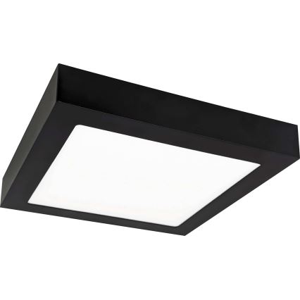 LED Stropna svjetiljka FENIX LED/18W/230V 3800K 22,5 cm