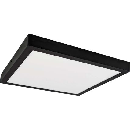 LED Stropna svjetiljka FENIX LED/24W/230V 3800K 29,8 cm