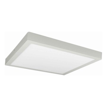 LED Stropna svjetiljka FENIX LED/32W/230V 3800K 40 cm bijela