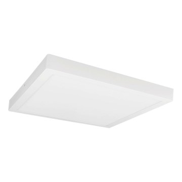 LED Stropna svjetiljka FENIX LED/32W/230V 3800K 40 cm snježno bijela