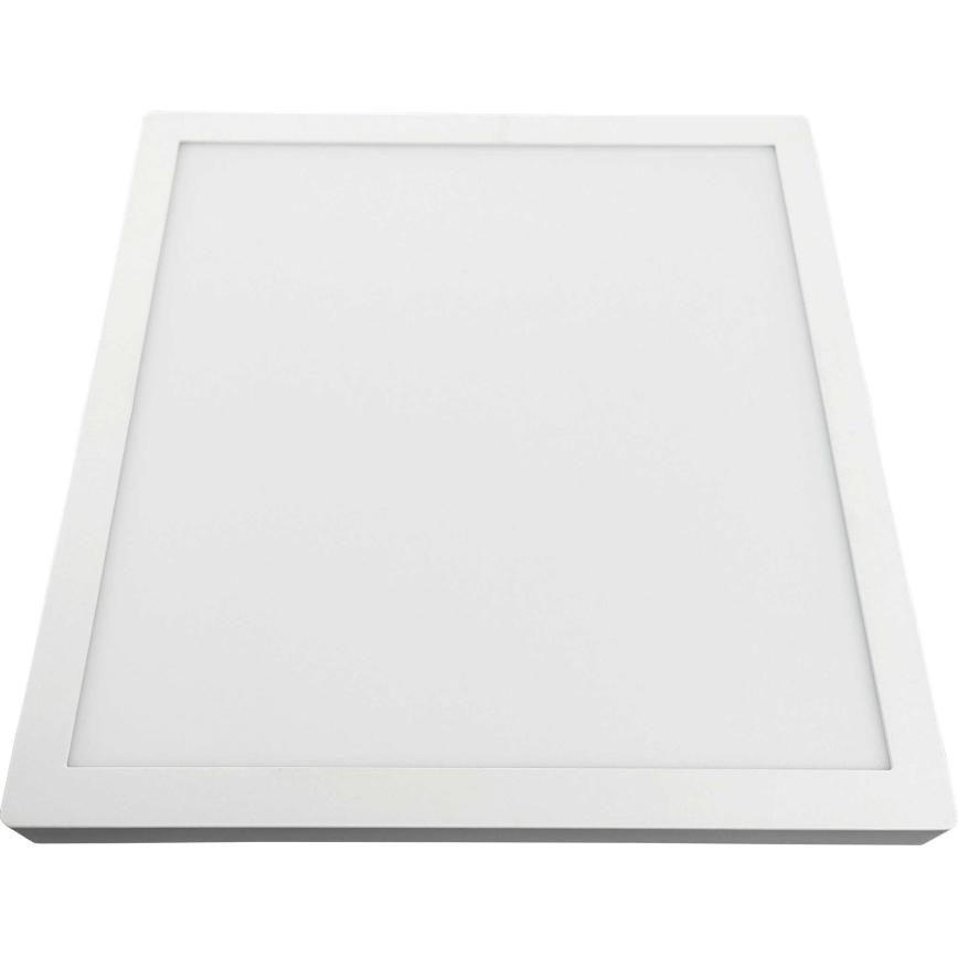 LED Stropna svjetiljka FENIX LED/32W/230V 3800K 40 cm snježno bijela