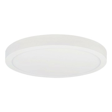 LED Stropna svjetiljka FENIX LED/32W/230V 3800K pr. 40 cm snježno bijela