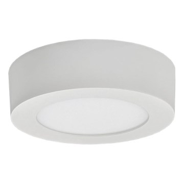 LED Stropna svjetiljka FENIX LED/6W/230V 2800K promjer 12 cm
