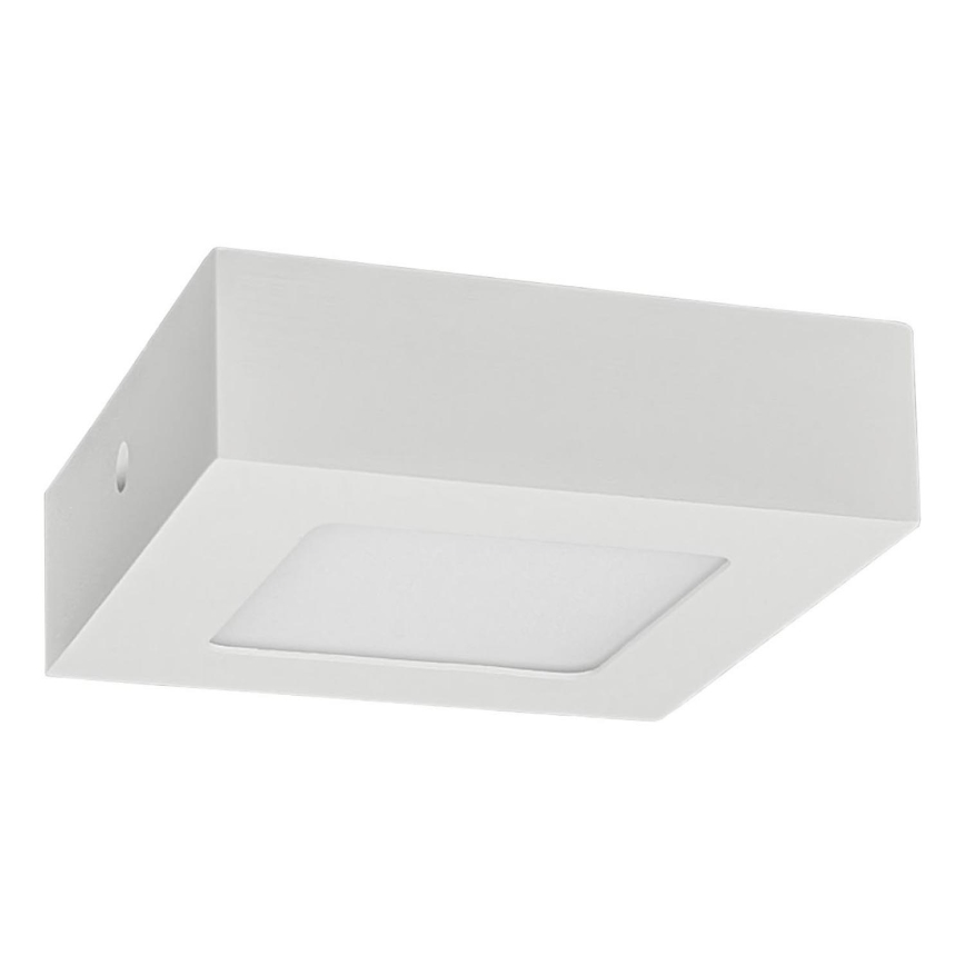 LED Stropna svjetiljka FENIX LED/6W/230V 3800K 12 cm