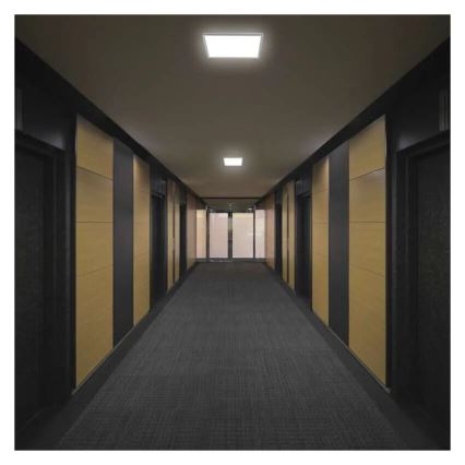 LED Stropna svjetiljka FLORI LED/18W/230V 4000K bijela 29x29 cm