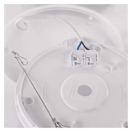 LED Stropna svjetiljka FLORI LED/18W/230V 4000K crna 29x29 cm