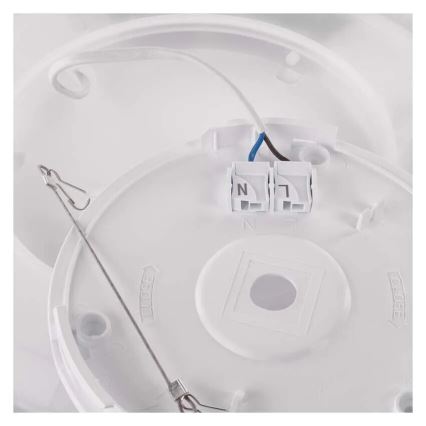 LED Stropna svjetiljka FLORI LED/18W/230V 4000K crna pr. 29 cm