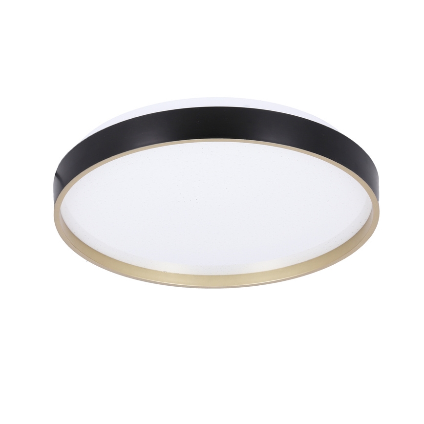 LED Stropna svjetiljka FLORIDA LED/18W/230V crna