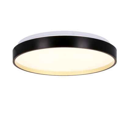 LED Stropna svjetiljka FLORIDA LED/18W/230V crna