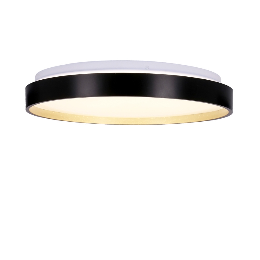 LED Stropna svjetiljka FLORIDA LED/18W/230V crna