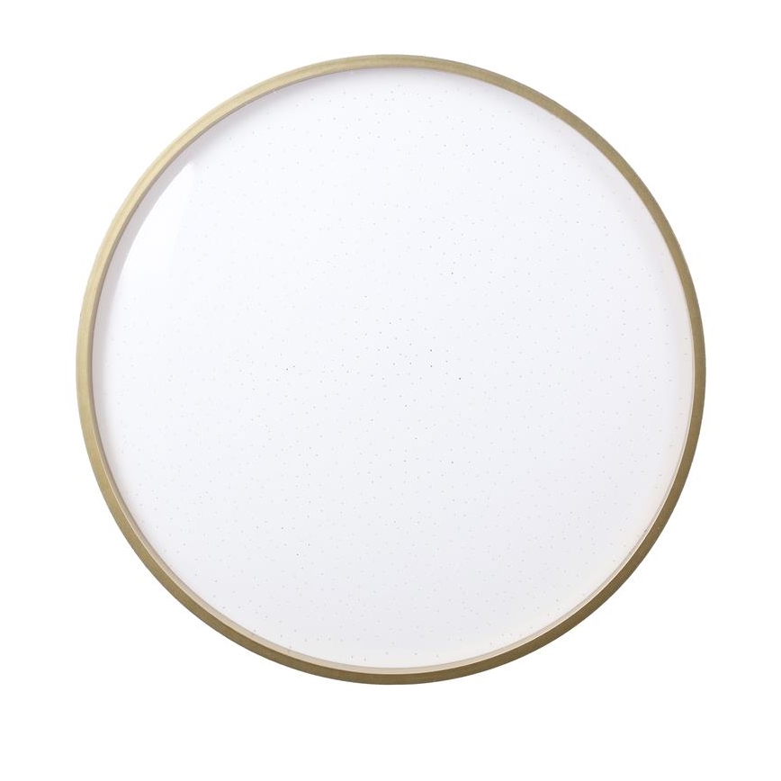 LED Stropna svjetiljka FLORIDA LED/18W/230V crna