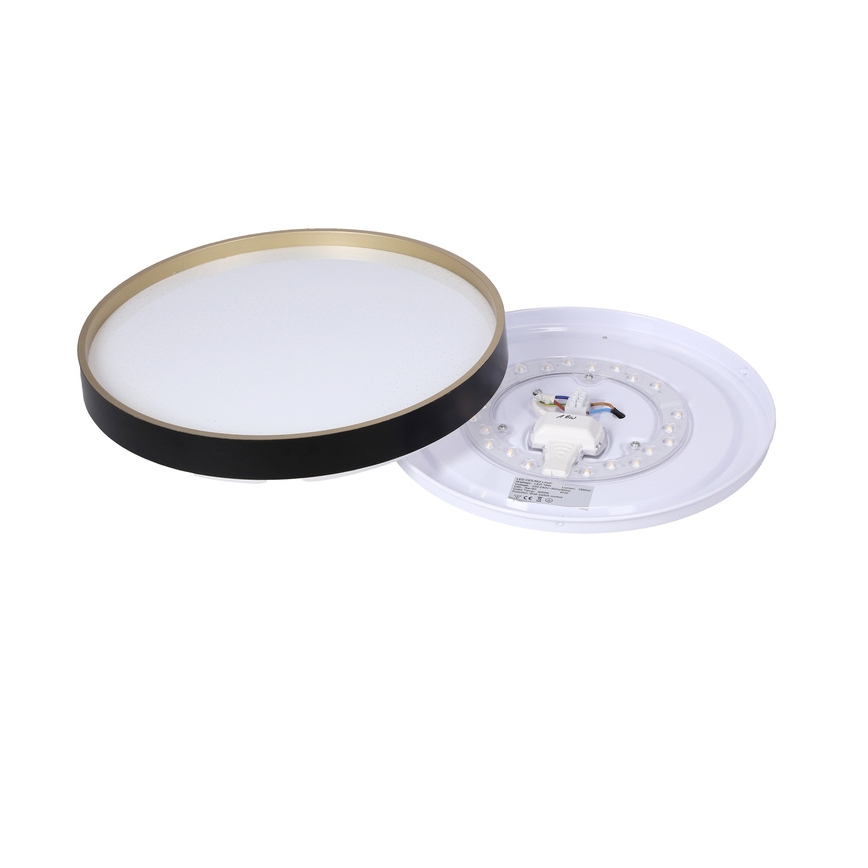 LED Stropna svjetiljka FLORIDA LED/18W/230V crna