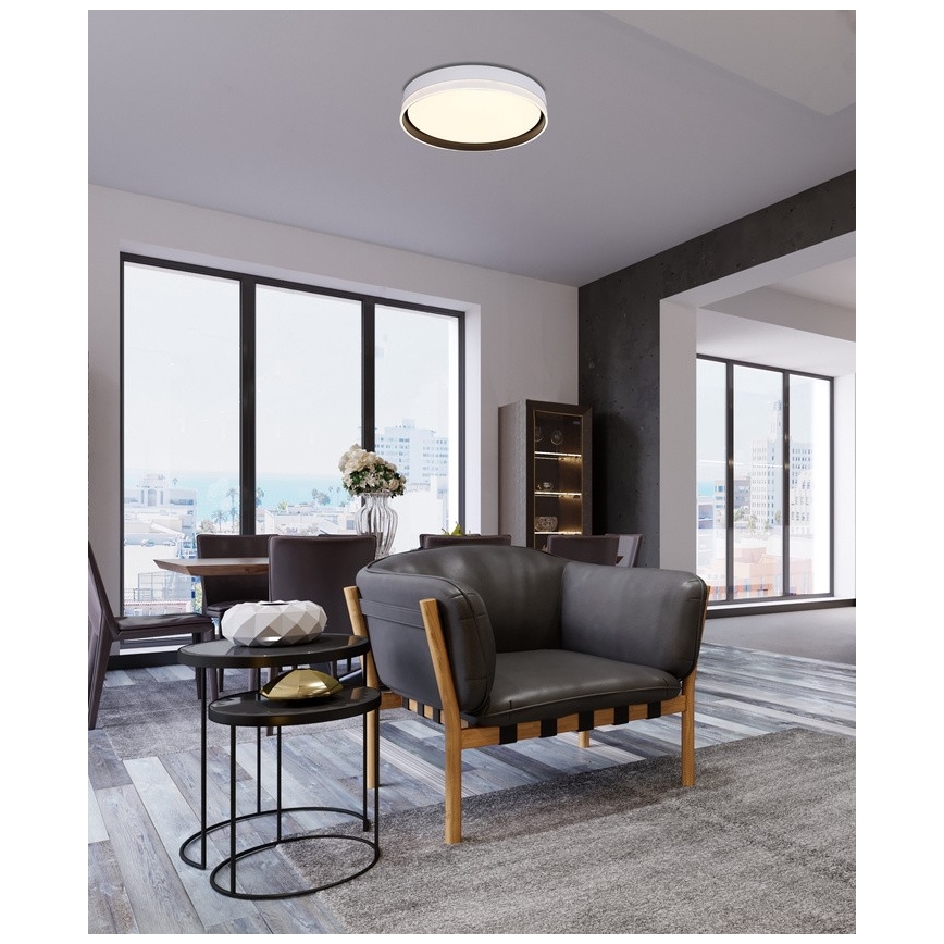 LED Stropna svjetiljka FLORIDA LED/24W/230V bijela