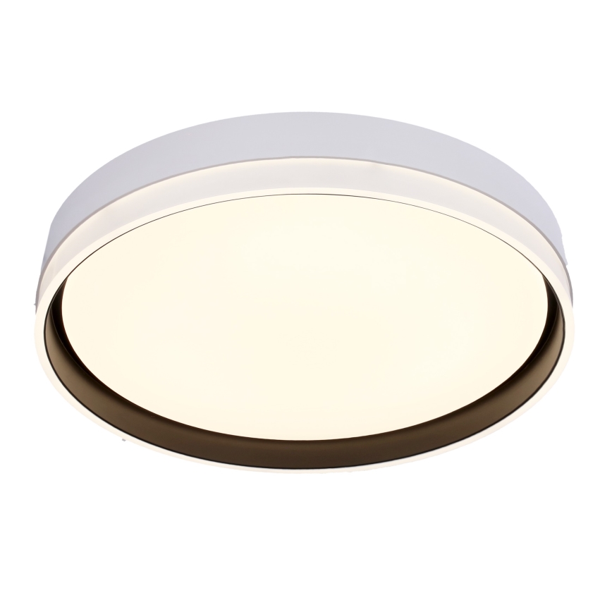 LED Stropna svjetiljka FLORIDA LED/24W/230V bijela