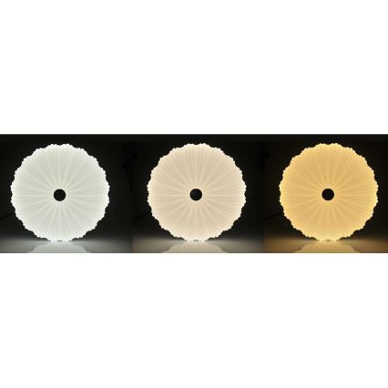 LED Dimmabilno stropno svjetlo FLOWER LED/36W/230V + daljinski upravljač