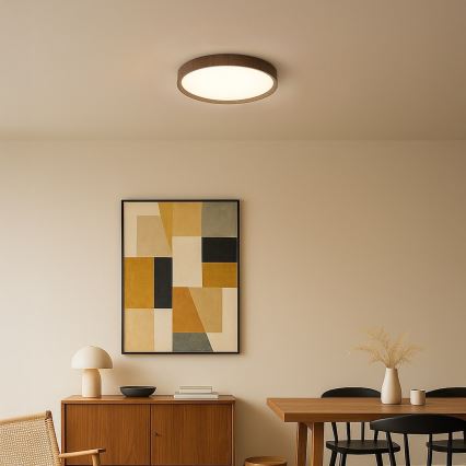 LED stropna svjetiljka FOREST LED/24W/230V Ø 39 cm smeđa