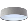LED Stropna svjetiljka GALAXY 1xLED/24W/230V siva/bijela
