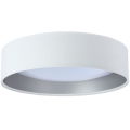 LED Stropna svjetiljka GALAXY LED/24W/230V bijela/srebrna