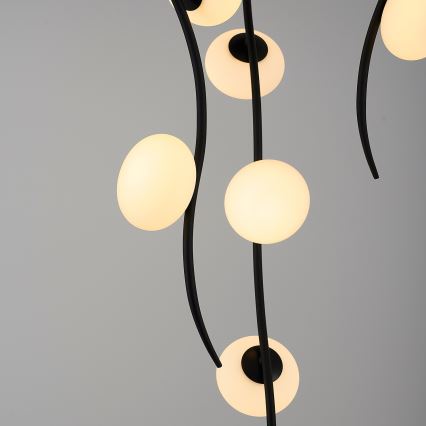 LED Stropna svjetiljka GELA 18xLED/3W/230V 3000K crna
