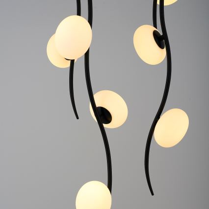 LED Stropna svjetiljka GELA 18xLED/3W/230V 3000K crna