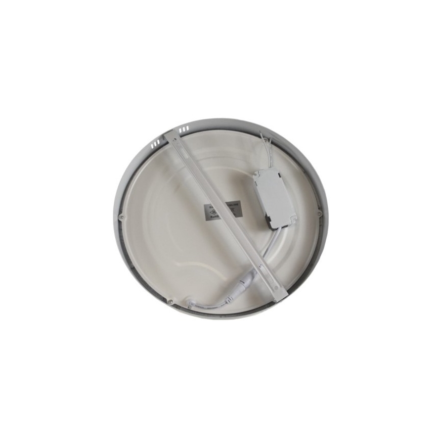 LED Stropna svjetiljka GERRIT LED/24W/230V 6500K bijela