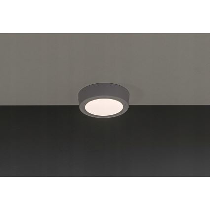 LED Stropna svjetiljka GERRIT LED/6W/230V 3000K