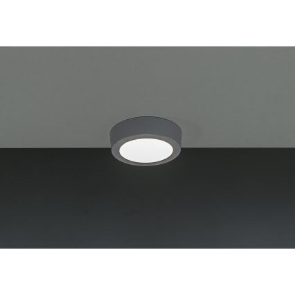 LED Stropna svjetiljka GERRIT LED/6W/230V 4000K