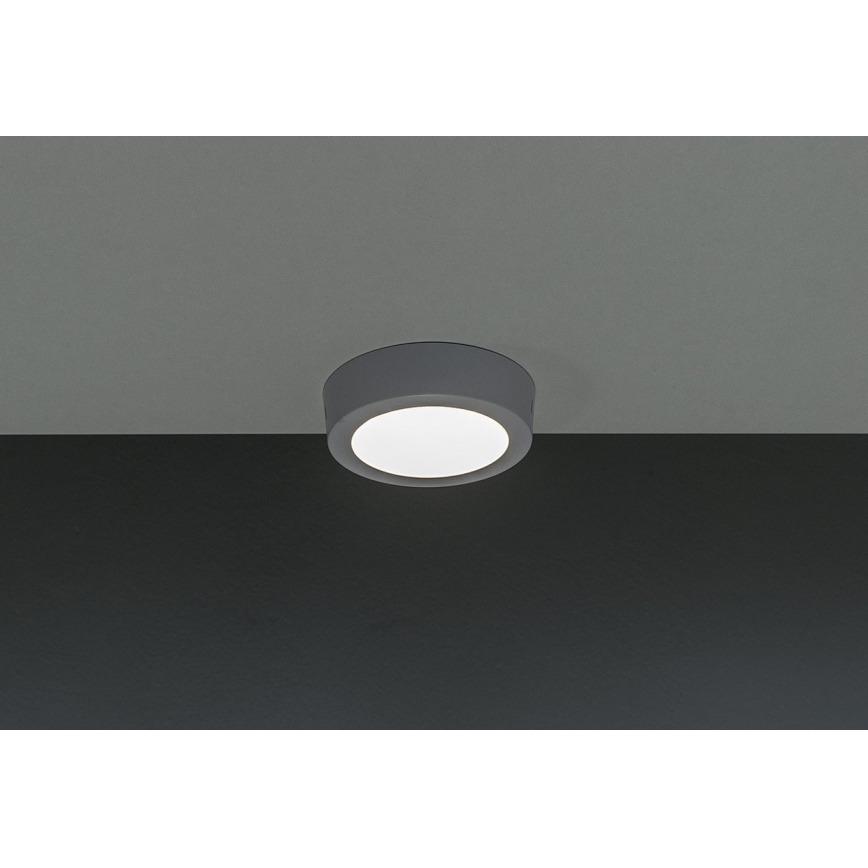 LED Stropna svjetiljka GERRIT LED/6W/230V 4000K