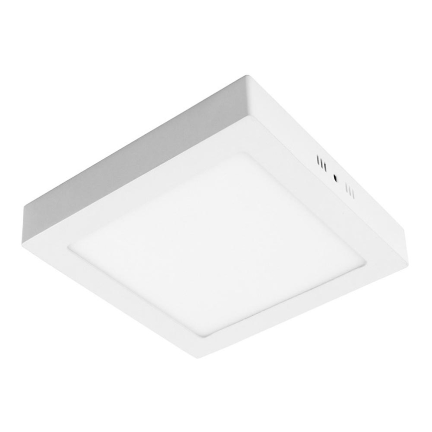 LED Stropna svjetiljka GERRY LED/24W/230V 3000K