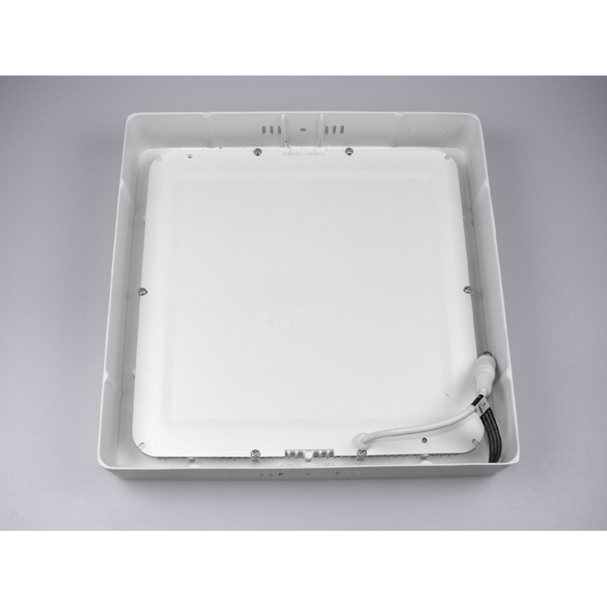 LED Stropna svjetiljka GERRY LED/24W/230V 6000K