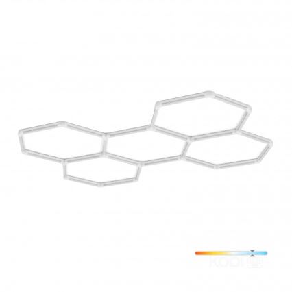 LED Stropna svjetiljka HEXLINE LED/216W/230V 6500K 208x300 cm bijela