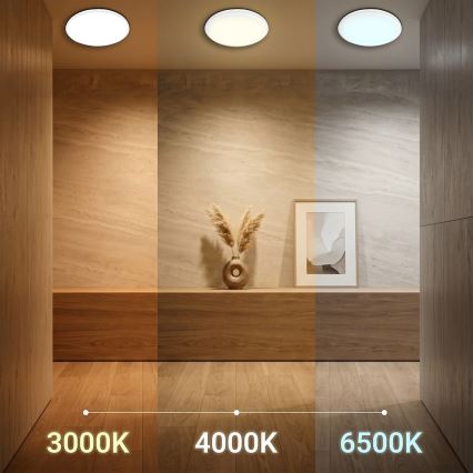 LED stropna svjetiljka HUGO LED/12/18/24W/230V 3000/4000/6500K Ø 30 cm IP54 bijela