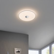 LED Stropna svjetiljka IGROKA LED/18,8W/230V