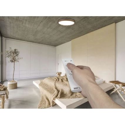 LED prigušivo stropno svjetlo ILVI LED/45W/230V 2700-6500K promjera 50 cm, drveni dekor + daljinsko upravljanje