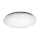 LED Stropna svjetiljka IRIDIO 1xLED/24W/230V