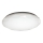 LED Stropna svjetiljka IRIDIO 1xLED/36W/230V