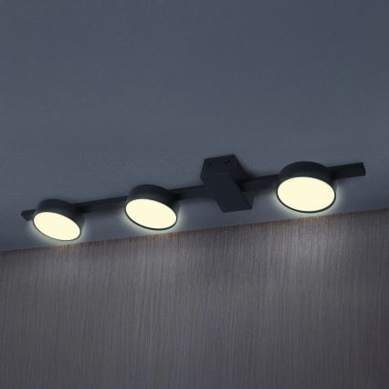 LED Stropna svjetiljka JOY 3xGX53/6W/230V crna