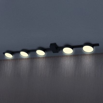 LED Stropna svjetiljka JOY 5xGX53/6W/230V crna