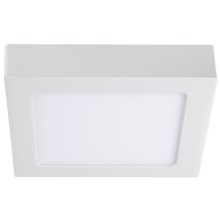 LED Stropna svjetiljka KANTI LED/12W/230V 3000K bijela