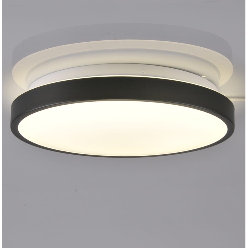 LED Stropna svjetiljka KERN LED/15W/230V crna