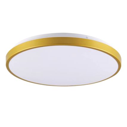 LED Stropna svjetiljka KERN LED/15W/230V pr. 29 cm