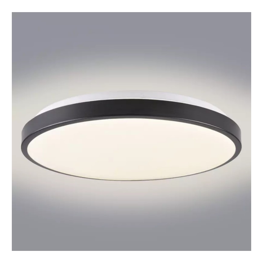 LED Stropna svjetiljka KERN LED/24W/230V crna