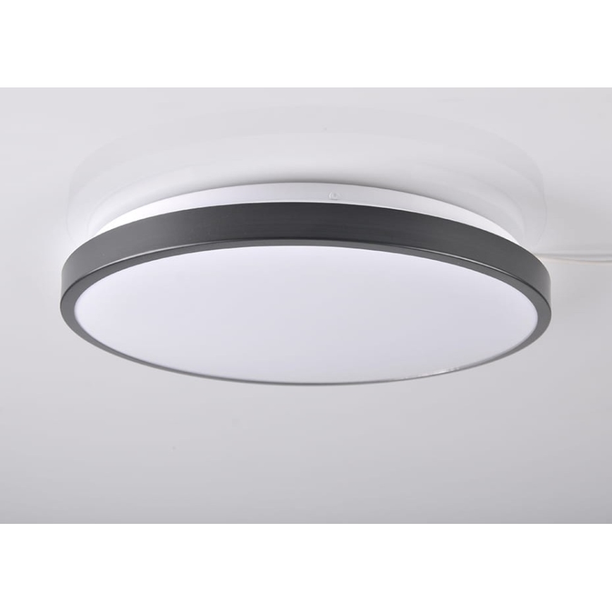 LED Stropna svjetiljka KERN LED/24W/230V crna