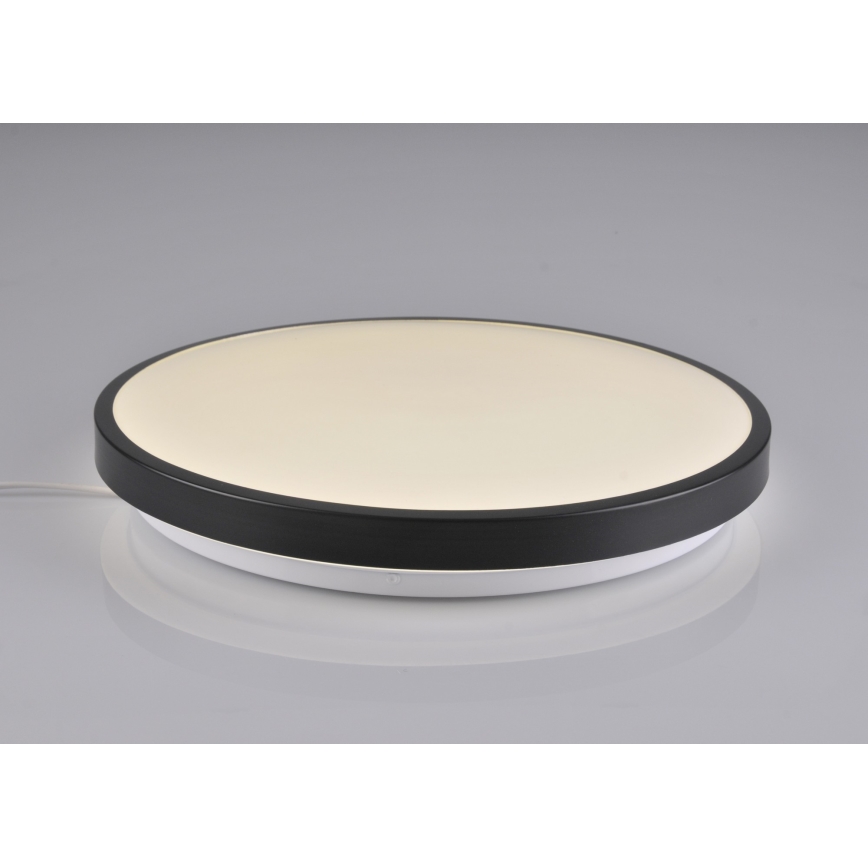 LED Stropna svjetiljka KERN LED/24W/230V crna