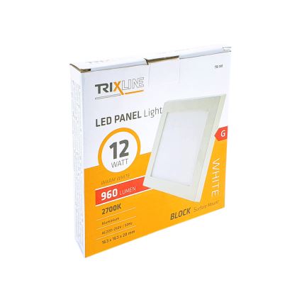 LED Stropna svjetiljka LED/12W/230V 2700K 16,3x16,3 cm bijela