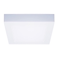 LED Stropna svjetiljka LED/12W/230V 3000/4000/6000K 17x17 cm bijela