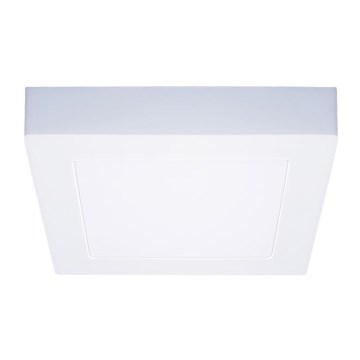 LED Stropna svjetiljka LED/12W/230V 3000/4000/6000K 17x17 cm bijela
