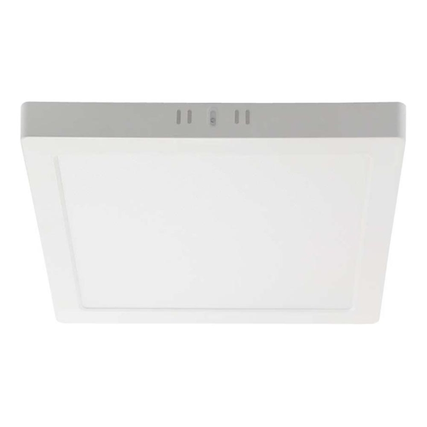 LED Stropna svjetiljka LED/12W/230V 3000K 16,7x16,7 cm bijela