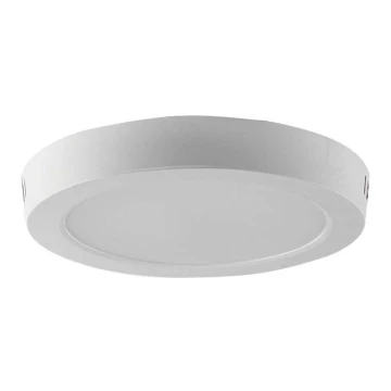 LED Stropna svjetiljka LED/12W/230V 4000K pr. 16,7 cm bijela